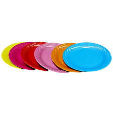 10pcs Big Round paper Plates