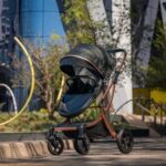 Pram Pu Leather Egg Style Luxury Travel System With Car Seat