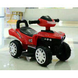 Electric Push Quad